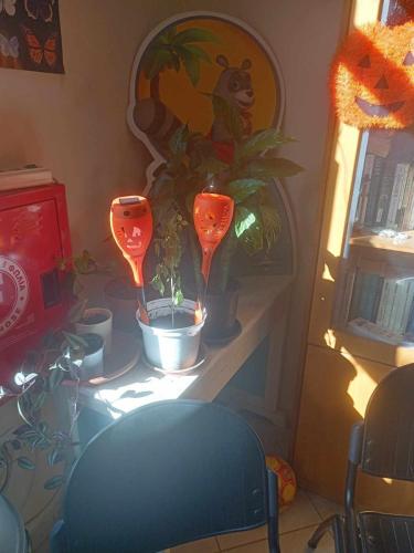 462553395 956934082988576 5466523694230696704 n